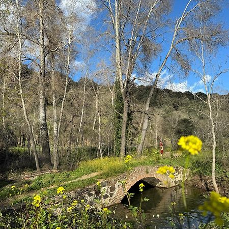 El Patio De Los Naranjos กวาดาลูเป ภายนอก รูปภาพ