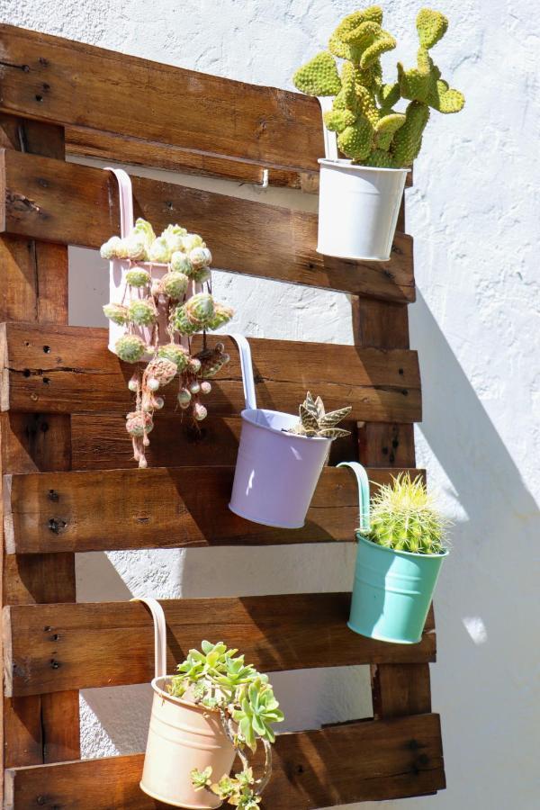 El Patio De Los Naranjos กวาดาลูเป ภายนอก รูปภาพ