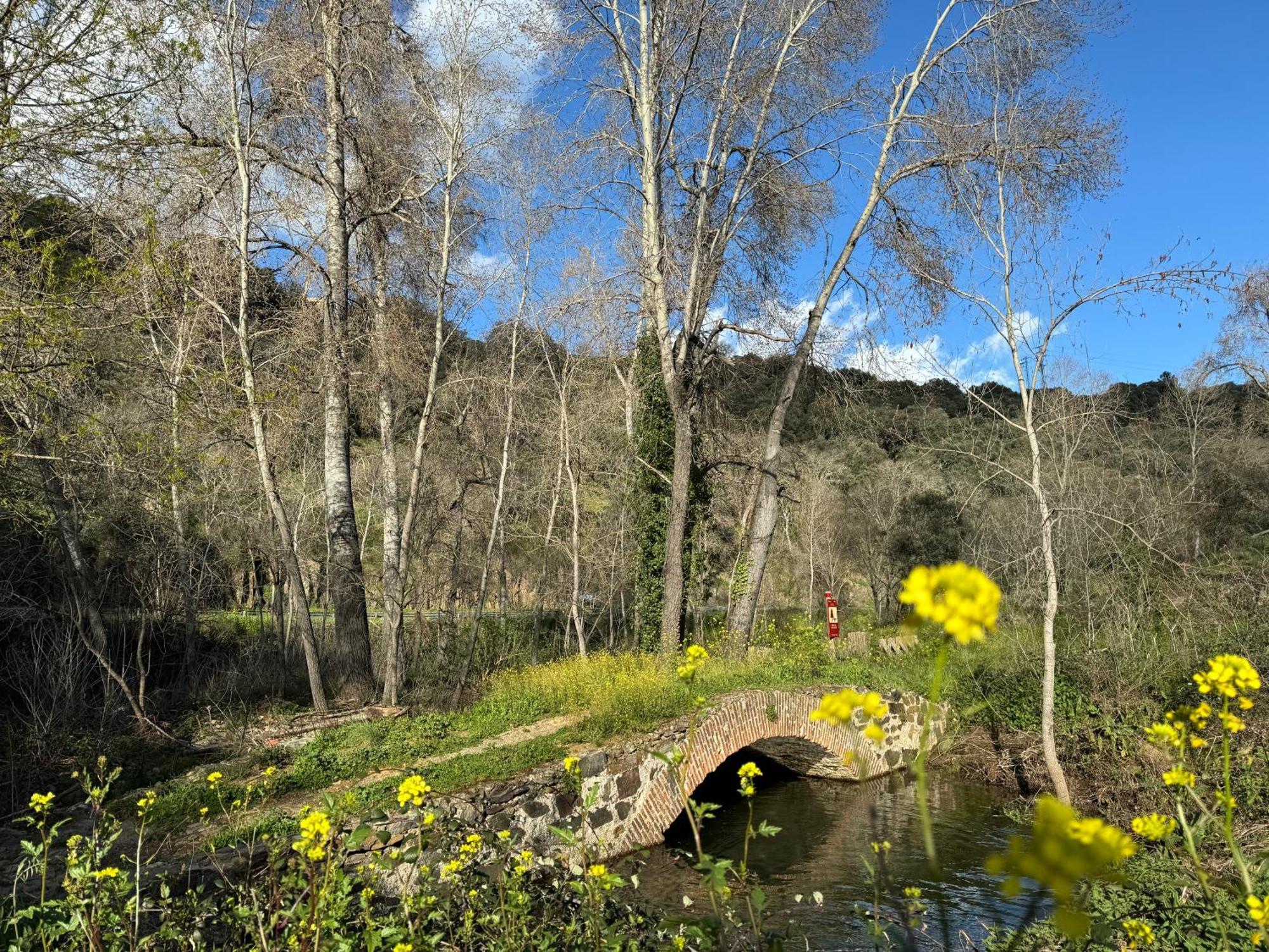 El Patio De Los Naranjos กวาดาลูเป ภายนอก รูปภาพ